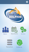 VDolphin v1.0 poster