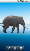 Elephant Sticker screenshot 2