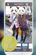 Panda Face screenshot 1