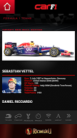 CAR F1 2014 screenshot 1