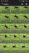 High-Speed Camera - Burst Mode screenshot 3