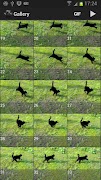 High-Speed Camera - Burst Mode screenshot 3