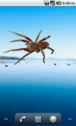 Spider Tarantula Sticker screenshot 1