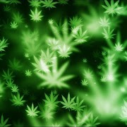Marijuana Live Wallpaper screenshot 5