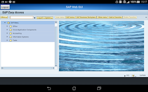 SAP WebGui اسکرین شاٹ 5