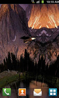 3D Eagle Live Wallpaper screenshot 2
