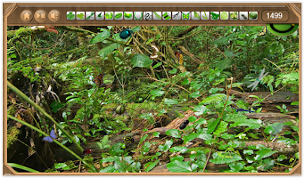 Rain Forest Hidden Objects screenshot 1