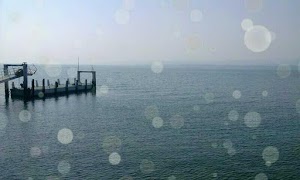 Camera Tamayura syot layar 2