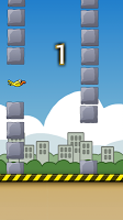 Collision Bird poster