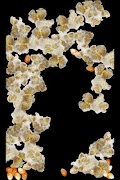 Fun Popcorn screenshot 2