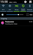 Pedometer screenshot 2