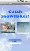 Catch Snowflakes! Affiche