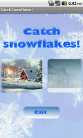 Catch Snowflakes! poster