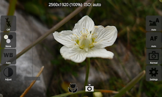 پوستر CameraX Free