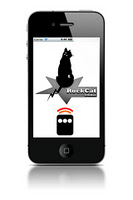 Cat Remote Poster