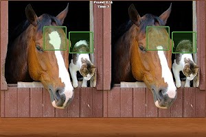 Horses Spot the Difference Plakat
