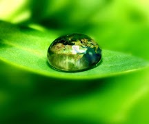 Waterdrop screenshot 4