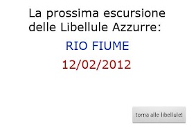 Libellule Azzurre screenshot 1