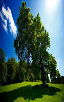 Wallpapers HD Galaxy s2 Ekran Görüntüsü 1