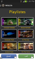 wildlife plakat