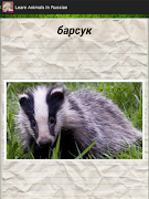 Learn Animals in Russian screenshot 6