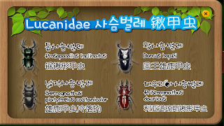 3D Magic Bugs 截图 3