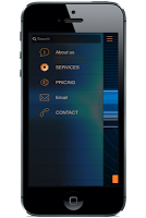 Promisingisolutions screenshot 2