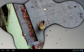 Bubble Frame screenshot 1