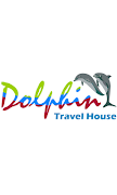 Dolphin Bus 海報