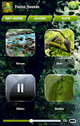 Sonidos del Bosque captura de pantalla 1