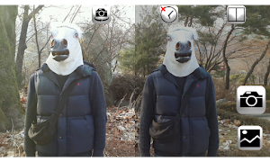 Split Camera постер