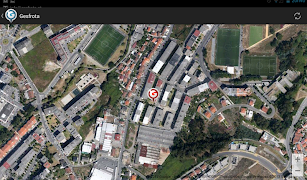 Gesfrota screenshot 6