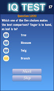 IQ Test imagem de tela 2