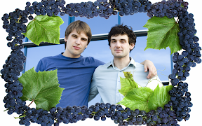 Fruit Frames capture d'écran 3