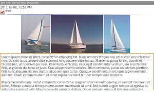 Diary Notes Multimedia plakat