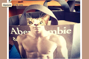 Find The Cat screenshot 3