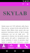 Skylab Poster