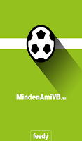 Foci VB 2014 poster