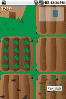 Pineapple Farm poster