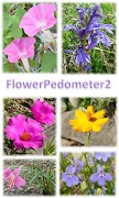 Flower Pedometer 2 poster