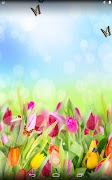 Tulips screenshot 2