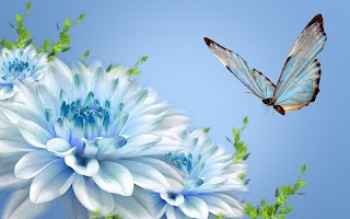 Butterfly Wallpaper screenshot 3