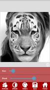 Animal Faces - Face Morphing screenshot 2