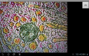 Microscope USB screenshot 1