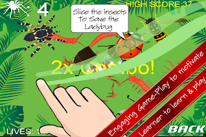 Insect Slice And Learn screenshot 3