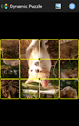 Dynamic Puzzle تصوير الشاشة 1