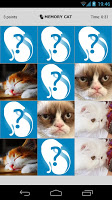 Memory Cat تصوير الشاشة 2