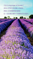 花語達人 bài đăng