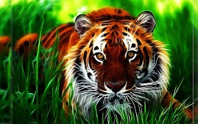 برنامه‌نما 3D Tiger عکس از صفحه