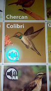 Aves de Chile AR screenshot 3